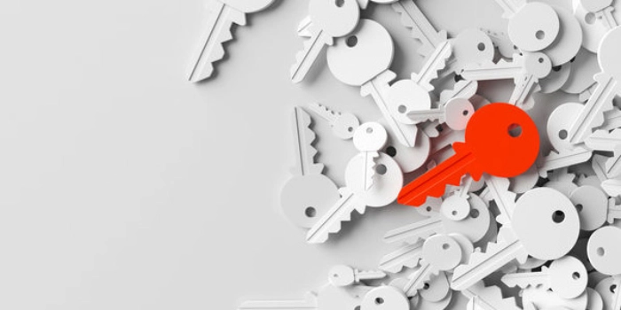 Software Identification using RxSWIN for homologation