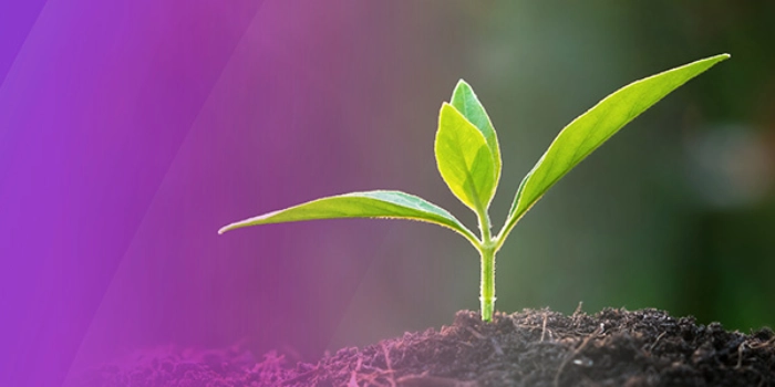 Making sustainability measurable with the SAP solution portfolio