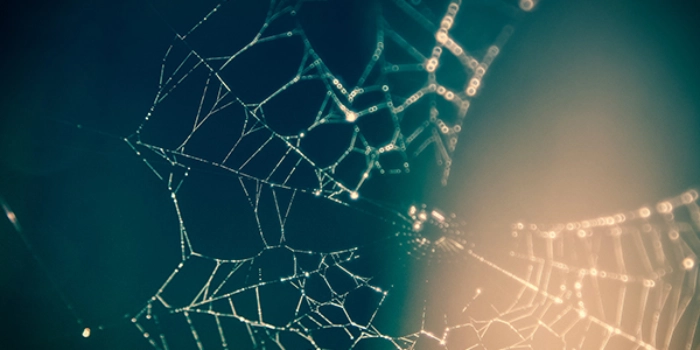 Cultural change data sharing