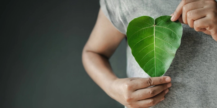 ESG Criteria: Understanding, anchoring, becoming a pioneer