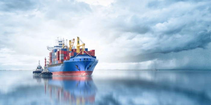 Focus on your successful business transformation