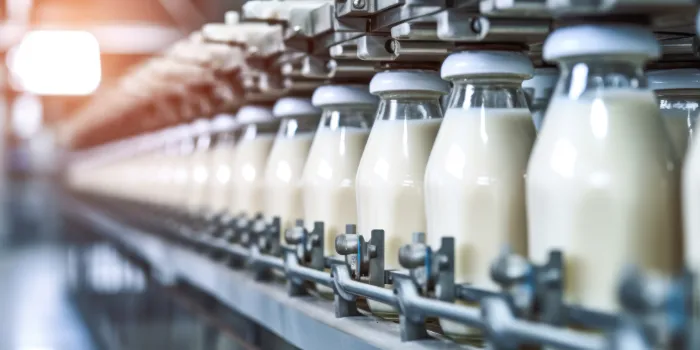 SAP Dairy Management by msg global